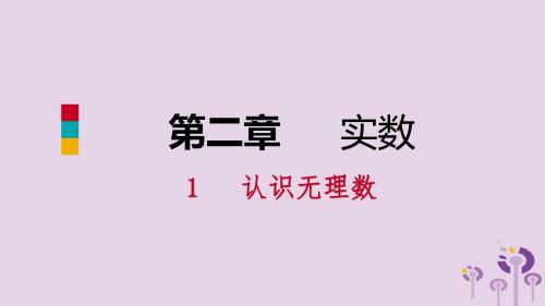 2018年秋八年级数学上册第二章实数2.1认识无理数同步练习课件(新版)北师大版