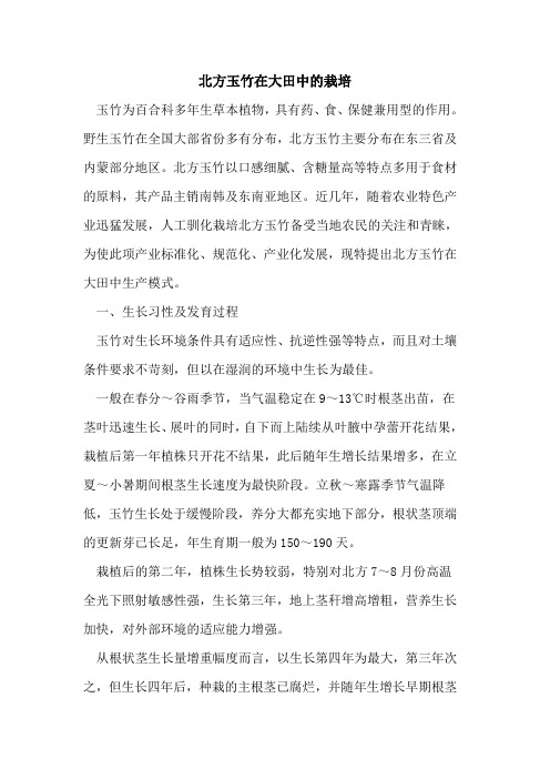 北方玉竹在大田中栽培