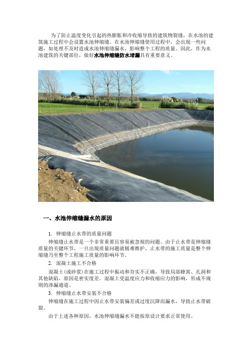水池伸缩缝防水堵漏