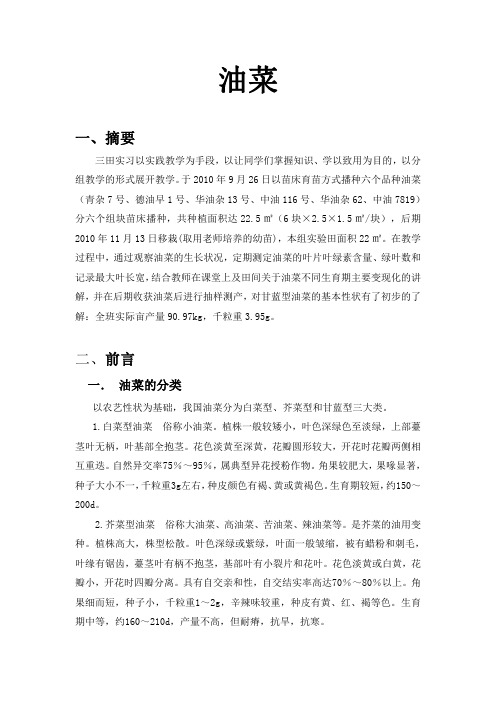 华农三田报告 油菜篇