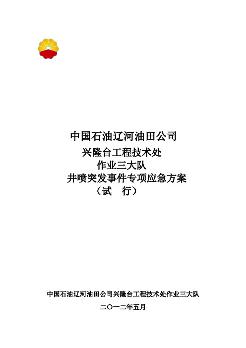 井喷突发事件专项应急方案
