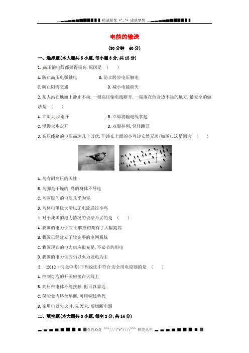 九年级物理全册 18.3 电能的输送课时作业 (新版)沪科版