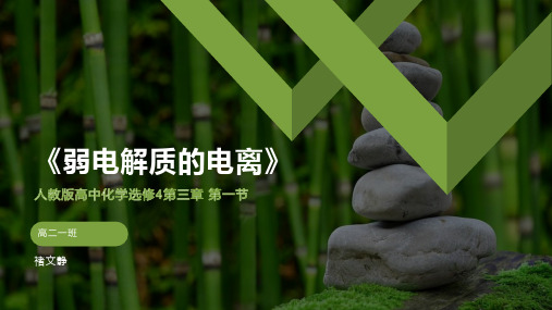 《弱电解质的电离》优秀课件1
