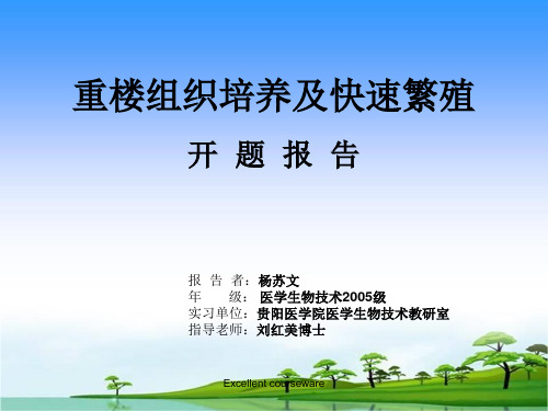 (精编课件)重楼组织培养及快速繁殖开题报告.ppt