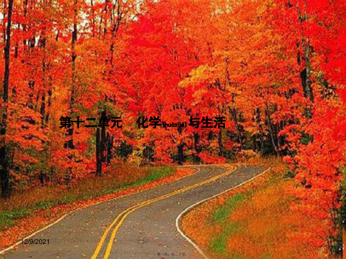 中考化学总复习 第十二单元 化学与生活课件_3
