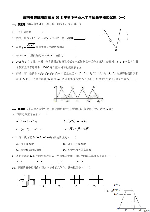 云南省楚雄州双柏县2018年初中学业水平考试数学模拟试卷(一)及答案