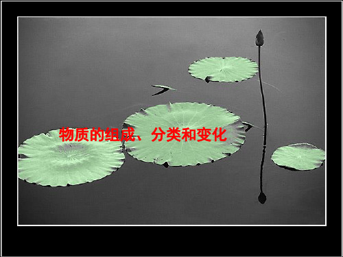 《物质的组成、分类和变化》课件