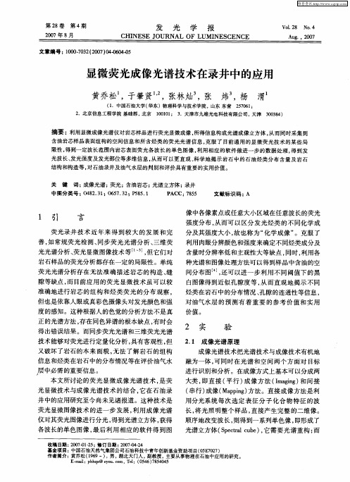 显微荧光成像光谱技术在录井中的应用