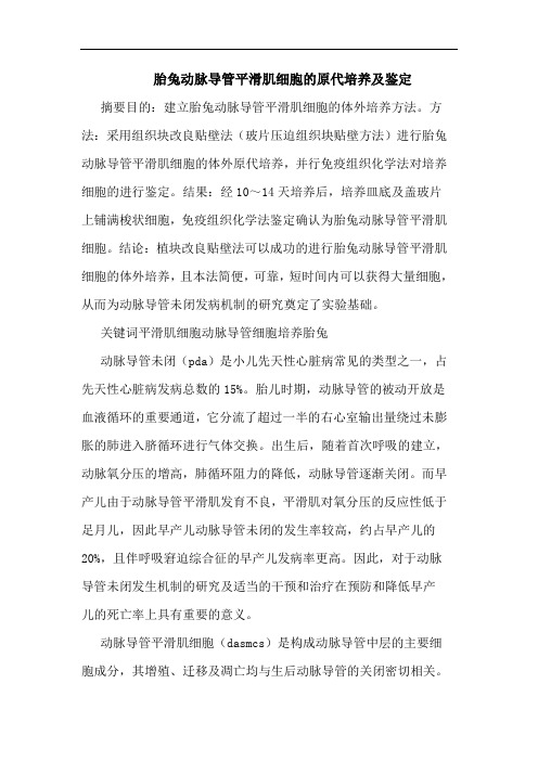 胎兔动脉导管平滑肌细胞的原代培养及鉴定