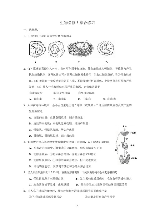 人教版必修3生物与环境模块专题