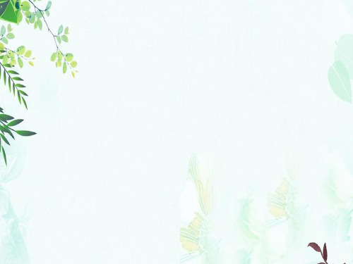 沪教版九年级化学上册教学课件：第3节 物质的溶解性
