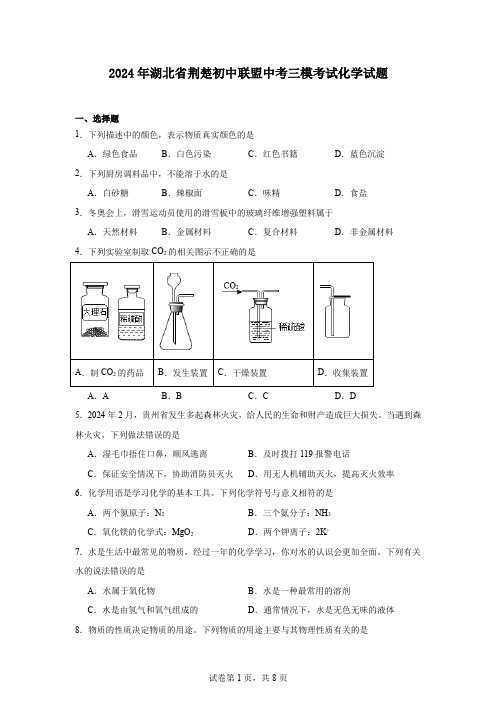 2024年湖北省荆楚初中联盟中考三模考试化学试题