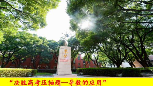 2020届高三二轮复习决胜高考压轴题---导数的应用课件(共85张PPT)