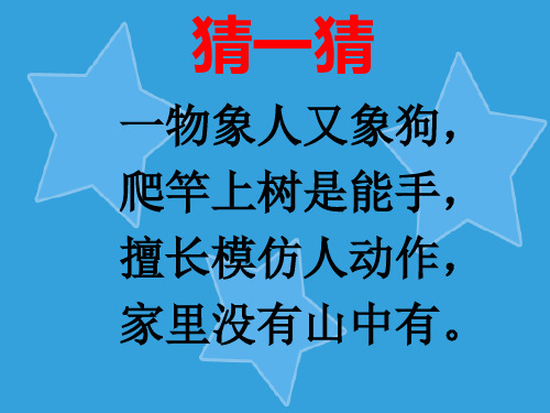 幼儿园中班语言《小猴卖圈“O”》课件