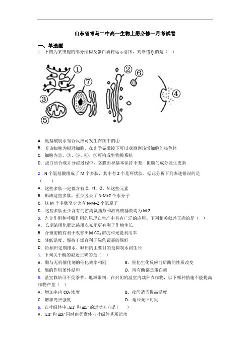 山东省青岛二中高一生物上册必修一月考试卷