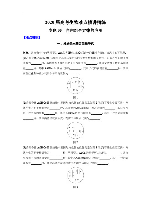 高中生物高考专题05 自由组合定律的应用(解析版)