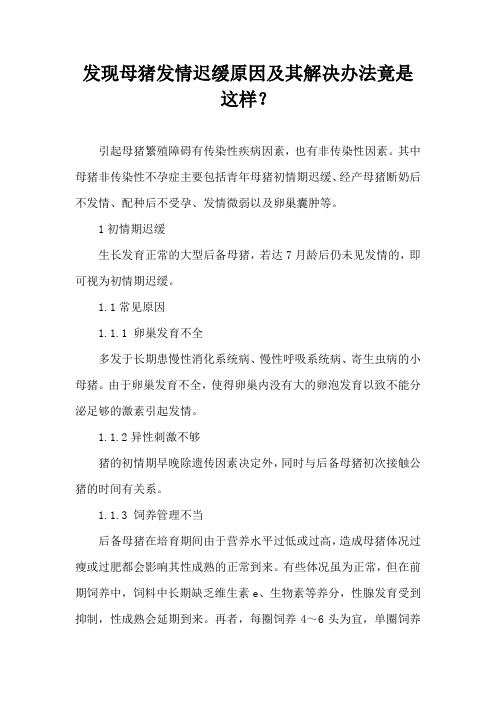 发现母猪发情迟缓原因及其解决办法竟是这样？