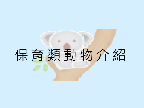 保育类动物介绍