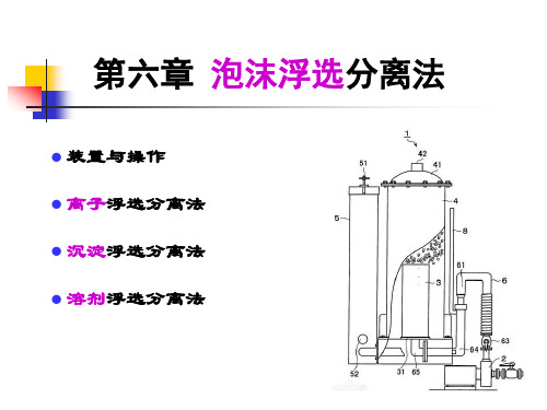 分离科学与技术第6章 泡沫浮选分离法