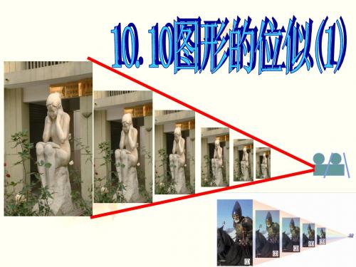 10.10 图形的位似(1)