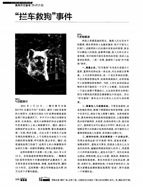“拦车救狗”事件