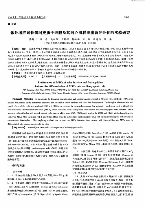 体外培养鼠骨髓间充质干细胞及其向心肌样细胞诱导分化的实验研究