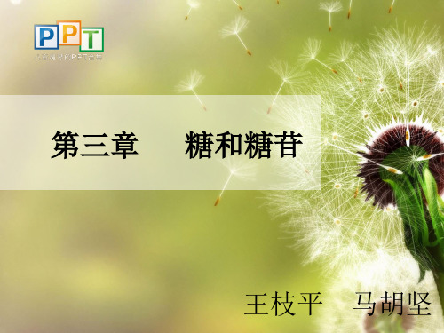 糖和糖苷