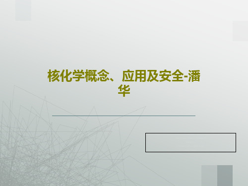 核化学概念、应用及安全-潘华共71页
