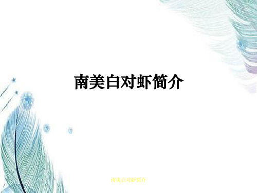 南美白对虾简介
