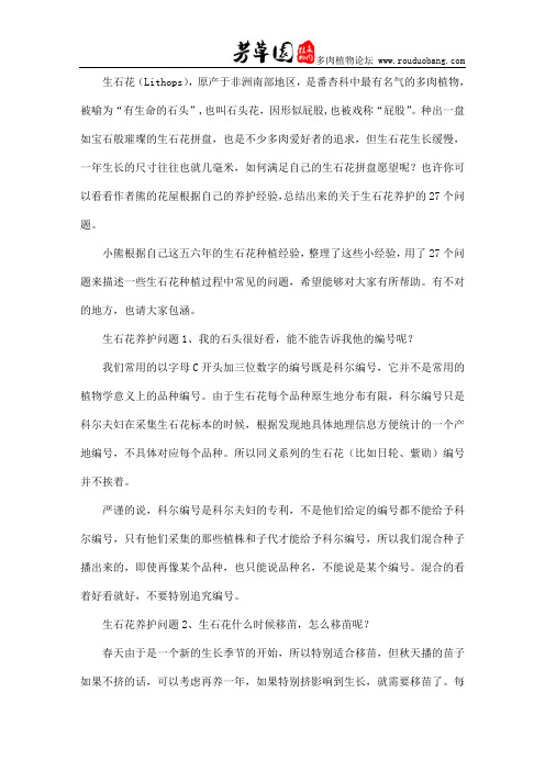 生石花养护问题