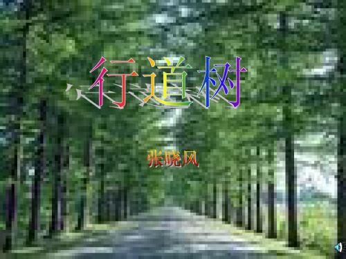 《行道树》课件
