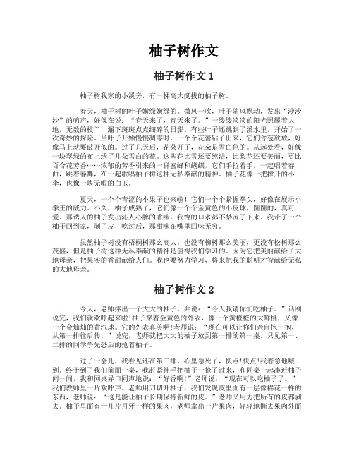 柚子树作文