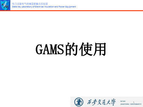 GAMS程序的使用ppt课件