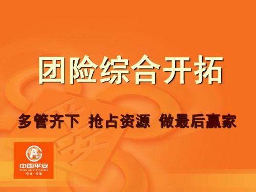 中国平安团险综合开拓-营销培训ppt投影片课件专题