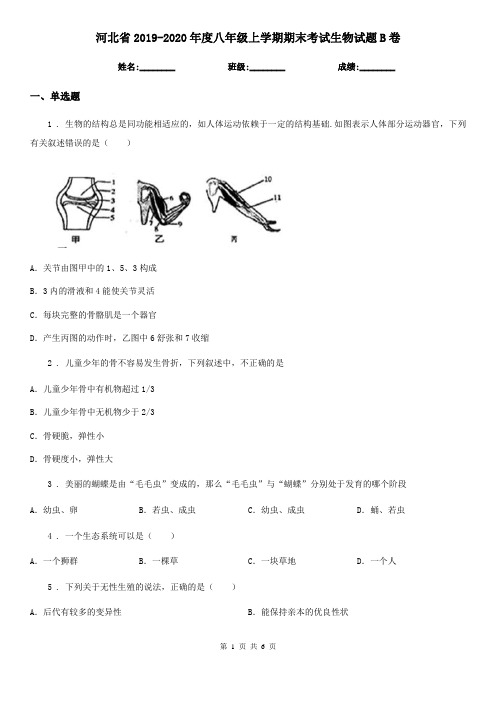 河北省2019-2020年度八年级上学期期末考试生物试题B卷