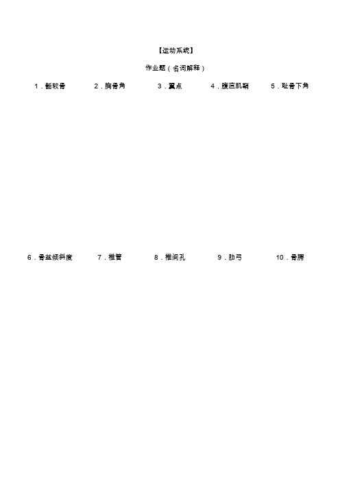 系统解剖学作业