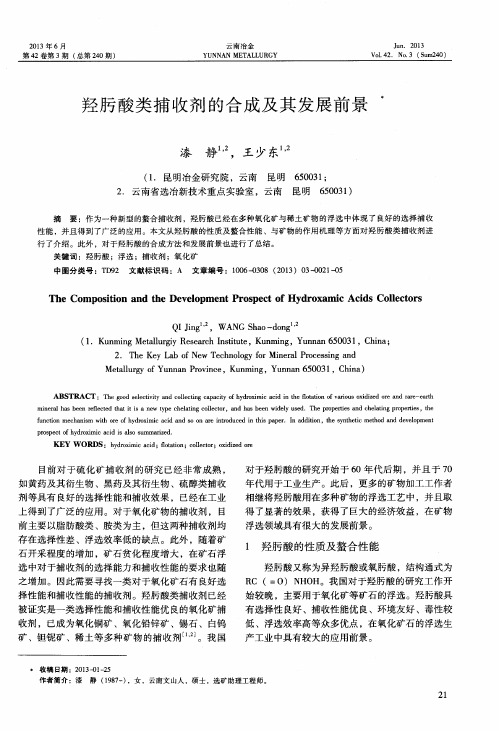 羟肟酸类捕收剂的合成及其发展前景