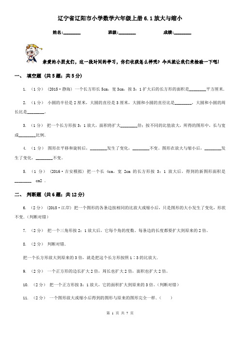 辽宁省辽阳市小学数学六年级上册6.1放大与缩小
