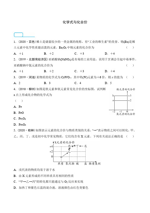 2021年春人教版化学中考真题训练      化学式与化合价