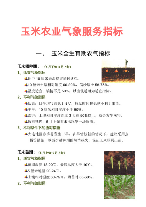玉米农业气象服务指标