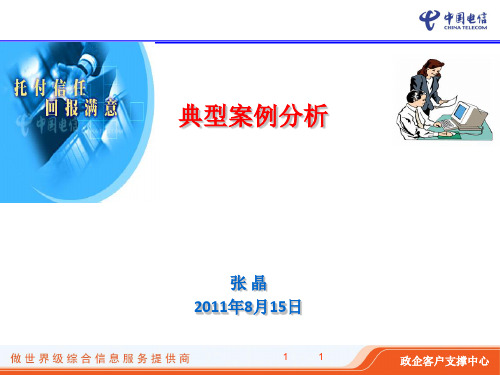 典型案例分析