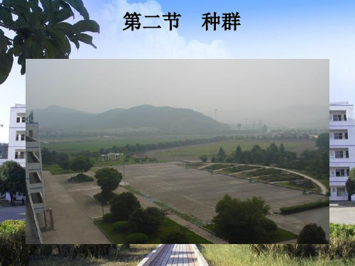 浙教版九年级下册科学第二章第二节种群教学课件共28张PPT