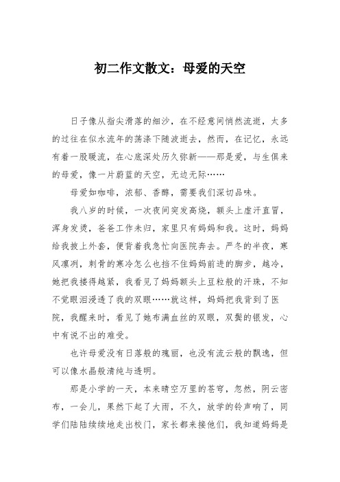 初二作文散文：母爱的天空
