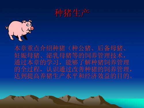 种猪生产