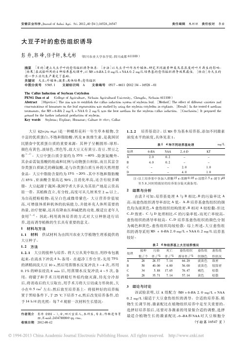 大豆子叶的愈伤组织诱导_彭丹