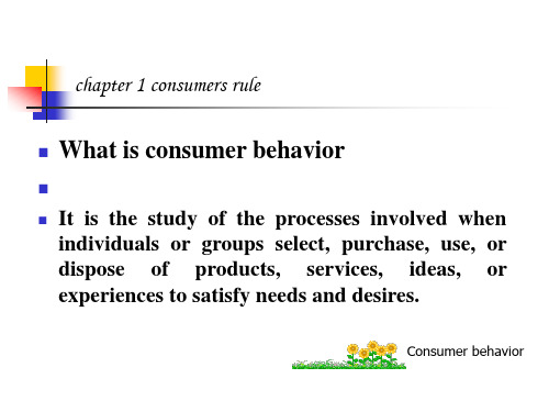消费者行为学consumer behavior1