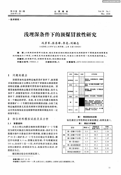 浅埋深条件下的顶煤冒放性研究