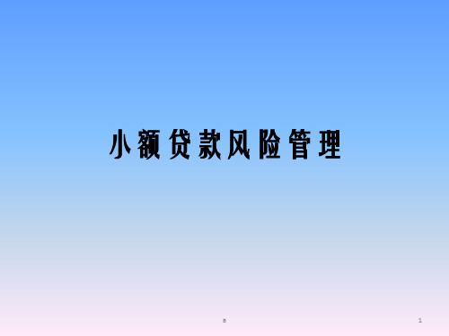 《小额贷款风险管理》PPT课件