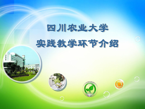 四川农业大学实践教学环节介绍