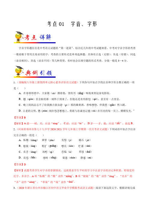 考点01 字音、字形-备战2021年中考语文考点一遍过(浙江专用)